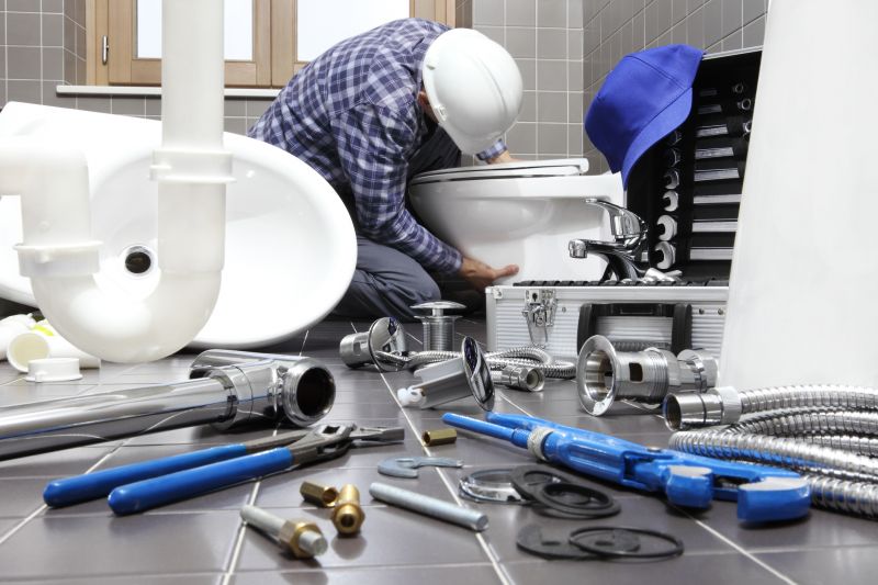Toilet Repair in Denver, CO